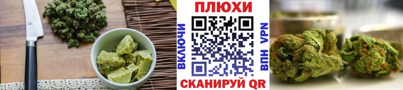 купить наркотик  блэк спрут как войти  Печенье с ТГК конопля  Славгород 